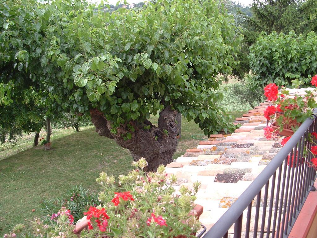 Agriturismo Il Bacucco Montecarotto Exterior photo