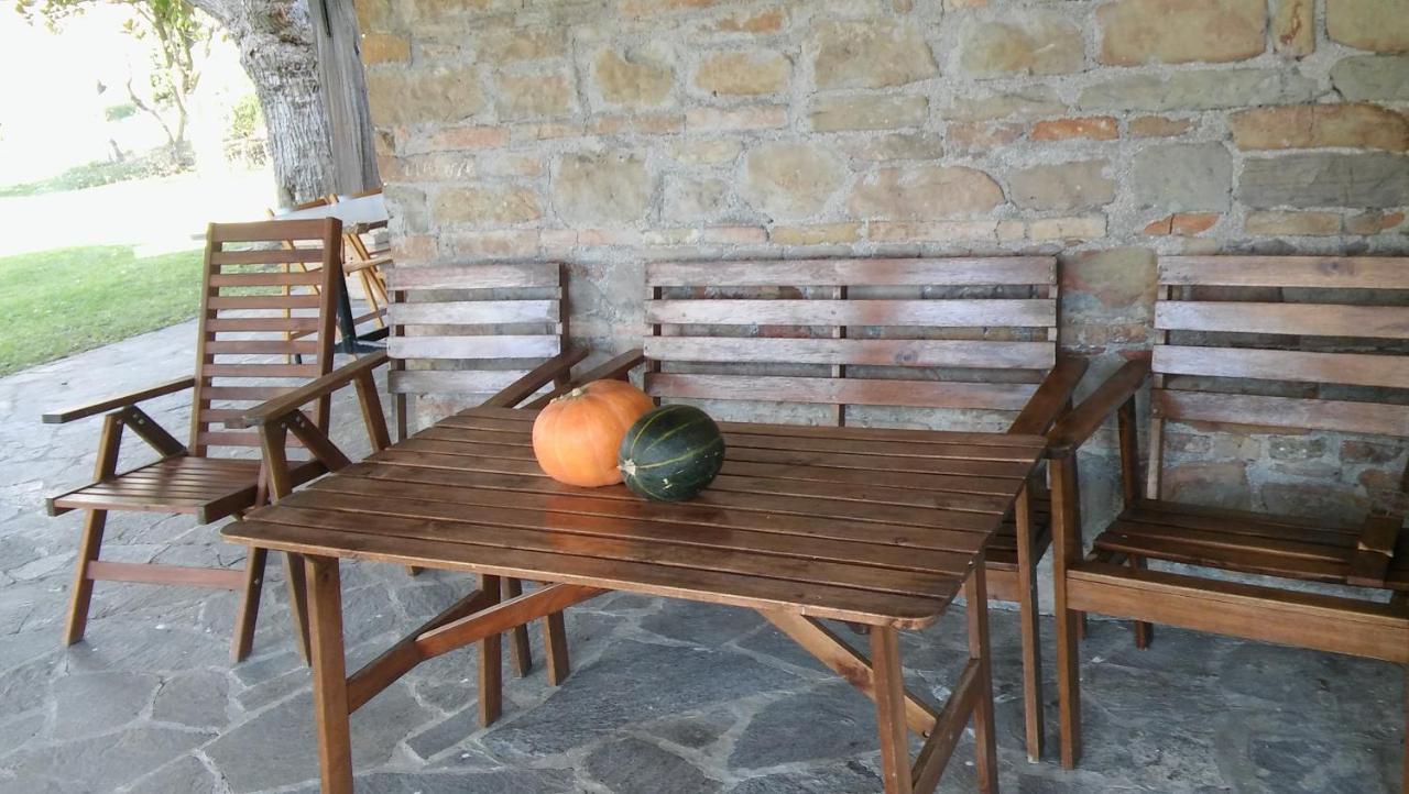 Agriturismo Il Bacucco Montecarotto Exterior photo